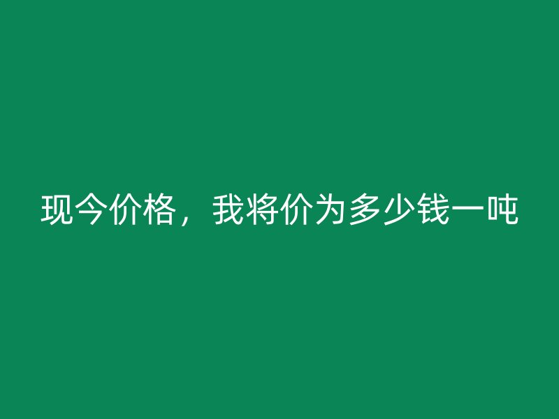 現(xiàn)今價格，我將價為多少錢一噸